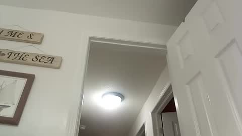 Snapshot of bigcumcanada chatting on 12.19.24 bg online show from 12.19.24