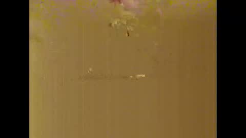 Snapshot of bigdaddydongarlets391292 chatting on 10.17.25 bigdaddydongarlets391292 online show from 10.17.25