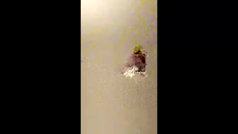 bigdaddydongarlets391292 online show from 02.13.26