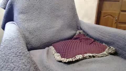 bigdickdaddy567130413 online show from 12.29.24