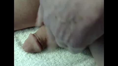 Snapshot of bigdipper58 chatting on 02.23.25 bigdipper58 online show from 02.23.25