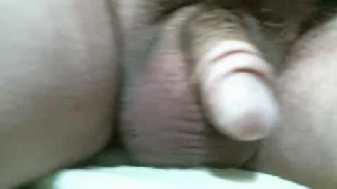 BigDog online show from 11.11.25