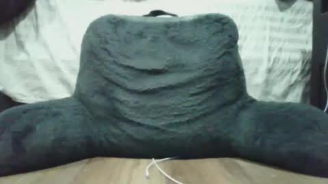 Snapshot of bigdyllpickle chatting on 01.08.26 bigdyllpickle online show from 01.08.26