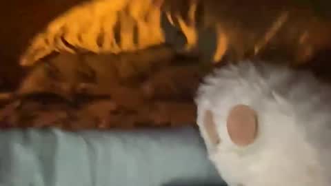 biggahhdihhh online show from 04.09.26