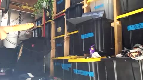 bigmanaround9 online show from 12.15.25