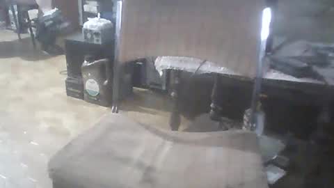 bigpenix online show from 02.15.26