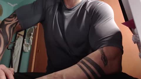 BigStallion online show from 02.06.26