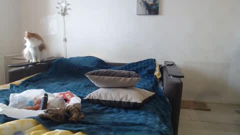 BigTwinsOmg online show from 02.24.26