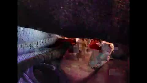 Snapshot of bilco03 chatting on 10.29.25 bilco03 online show from 10.29.25