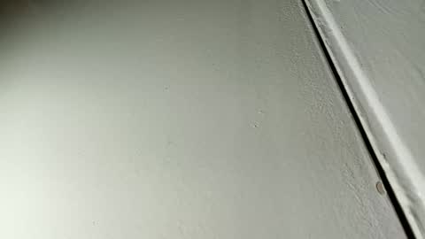 Bill online show from 01.19.25