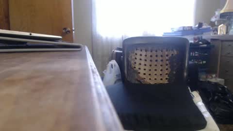 Bimbttm online show from 12.19.24