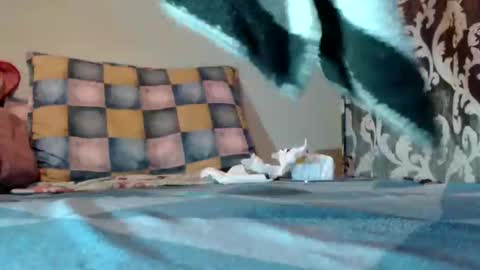 if you love pussy give 1 token - im a poor girl any token counts-my shop video pussy  virgina  hairy pussy 1 token online show from 03.10.25