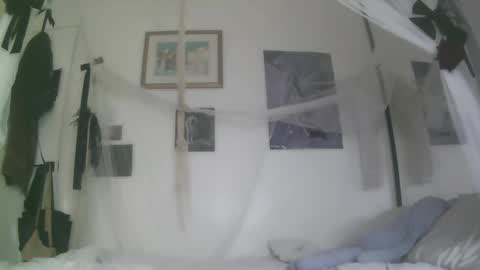 vampire fang  online show from 10.22.25