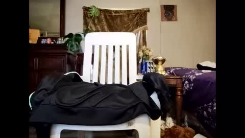 blacccocc4u2 online show from 03.29.26