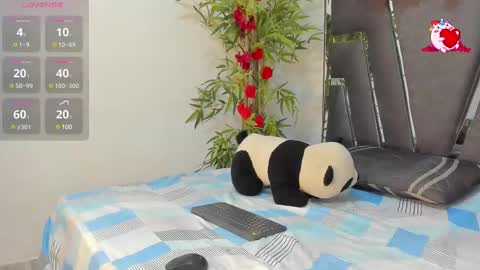 Snapshot of black_rose02 chatting on 02.26.25 B L A C K  R O S E  online show from 02.26.25