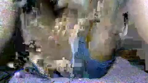 Snapshot of black_seed_donor chatting on 09.19.25 GOT YOU online show from 09.19.25