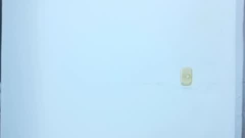 black_treassure online show from 02.12.26