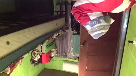 Crystal online show from 02.20.26