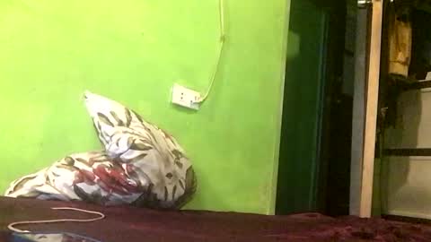 Crystal online show from 04.18.26