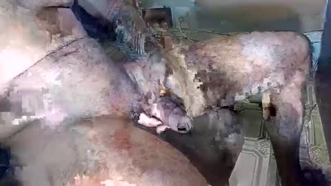 blackedbigdick online show from 10.18.25