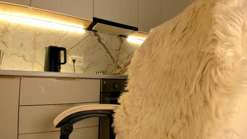 Karina online show from 01.20.25