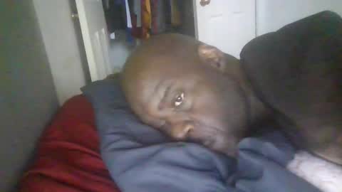 blackteddybear online show from 01.19.26