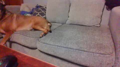 blaw_1321 online show from 11.23.25