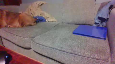 blaw_1321 online show from 04.19.26