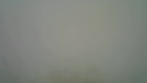 Black  brown online show from 11.07.25