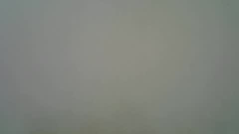 Black  brown online show from 11.11.25