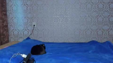 bloemetjes online show from 10.07.25