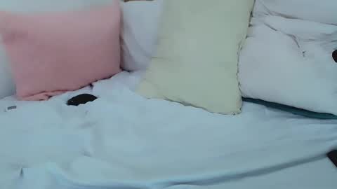 Sasha online show from 03.02.25