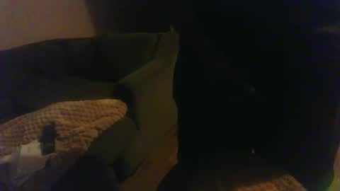 blongd2 online show from 03.02.25