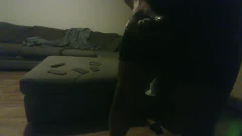 blongd2 online show from 01.19.26