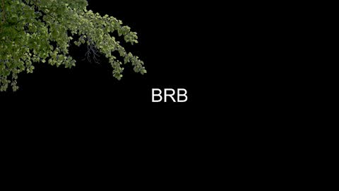 SONNYVAN online show from 01.14.26