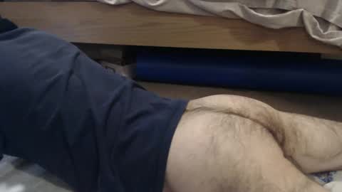 bobbuild online show from 12.30.24