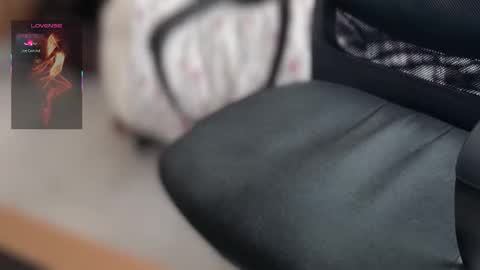 Bobby online show from 03.19.26