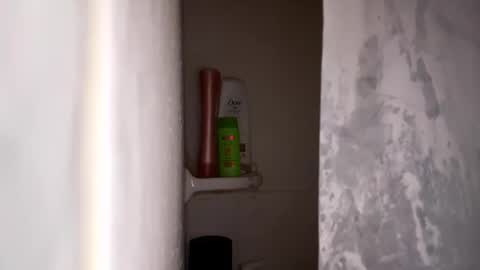 bobfish663 online show from 01.31.26