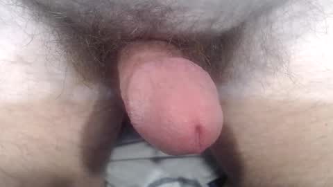 bobswan online show from 10.24.25