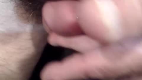 bobswan online show from 04.15.26