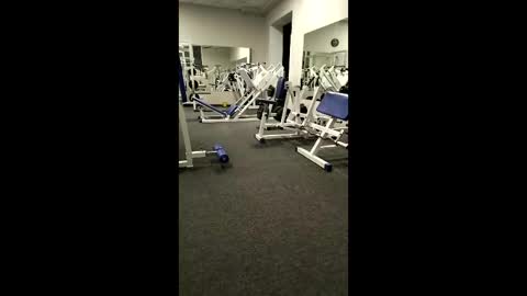 BODI online show from 04.02.26