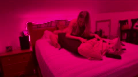 Snapshot of bodiddly64 chatting on 02.15.26 bodiddly64 online show from 02.15.26