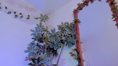   online show from 03.19.26