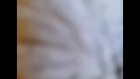 bonop1 online show from 01.01.25