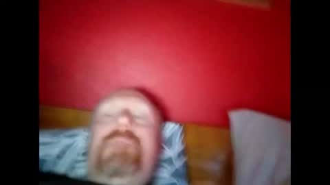 bonzoband online show from 02.20.25