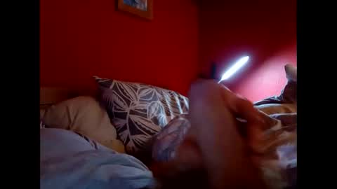 bonzoband online show from 02.09.26