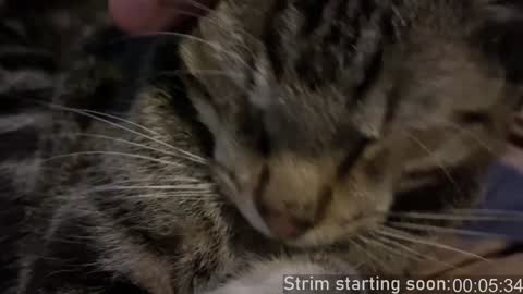 Booker Baxton online show from 12.11.24