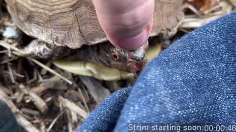 Booker Baxton online show from 12.21.24