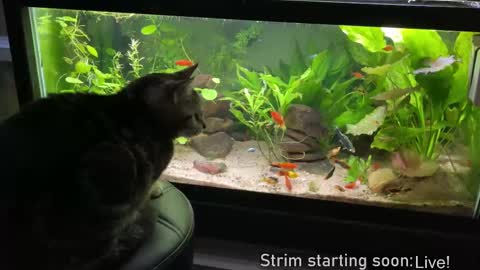 Booker Baxton online show from 02.27.25