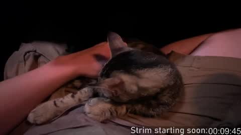 Booker Baxton online show from 09.28.25